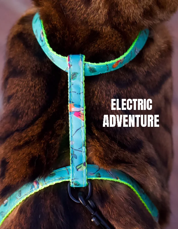 Electric Adventure