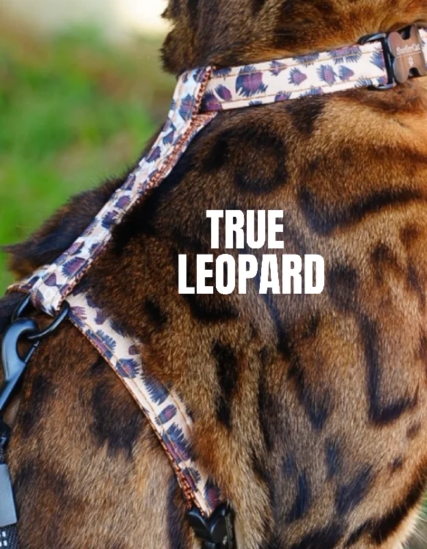 True Leopard