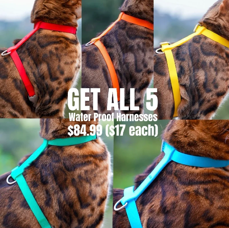 Get all 5