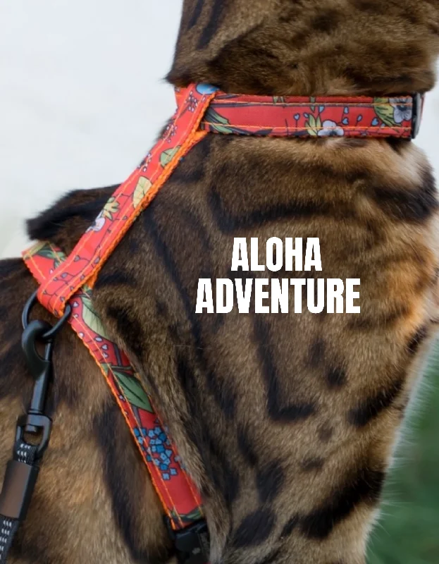 Aloha Adventure