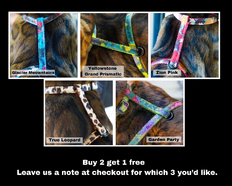 3 Harness Bundle