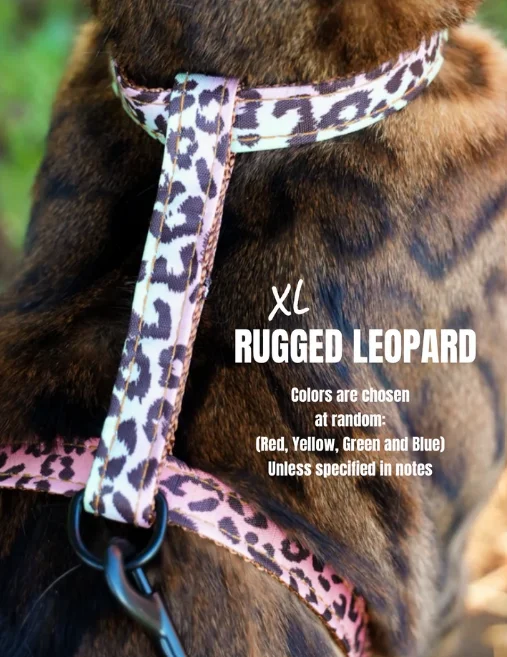 Leash and Rugged Leopard XL Harness