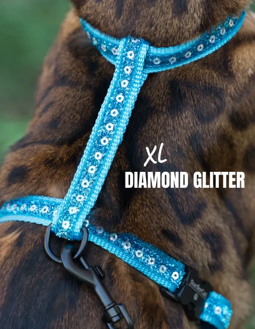 Leash and Diamond Glitter XL Harness