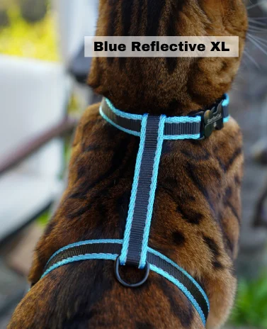 surf clothing with body-mapped panels for fit-Leash and XL Harness Set