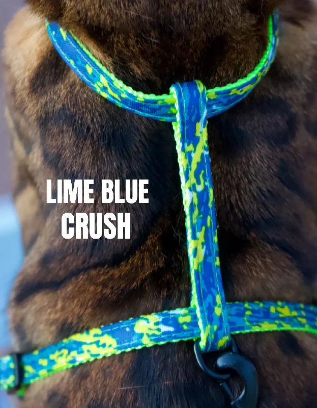 Lime Blue Crush