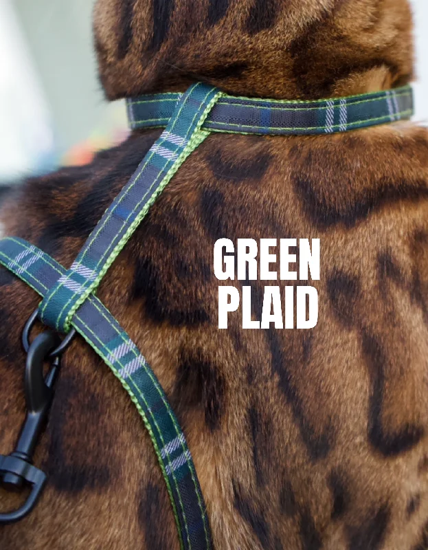 Classic Green Plaid