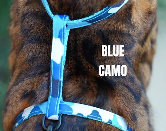 Blue Camo