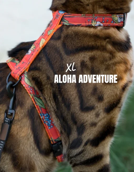 Leash and Aloha Adventure XL Harness