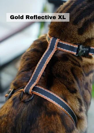 Leash and Gold Reflective XL Harness