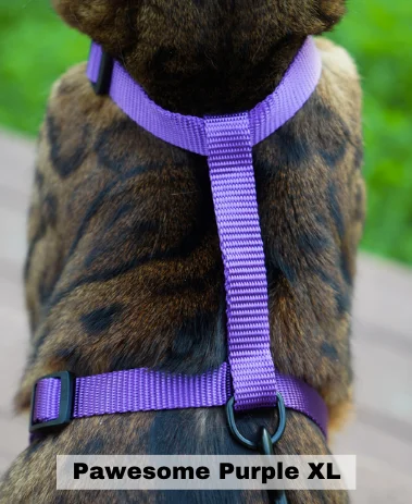 Leash and Pawesome Purple XL Harness