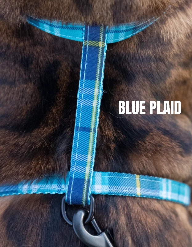 Classic Blue Plaid