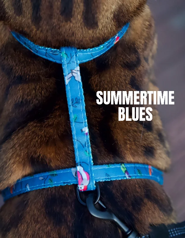 Summertime Blues