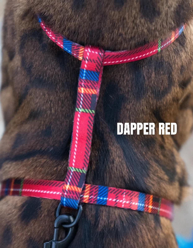 Red Dapper