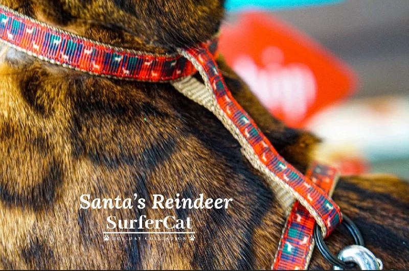 Santa's Reindeer