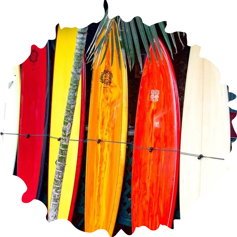  Premium Surfboard for All Skill Levels